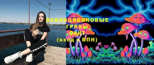 дурь Алексин