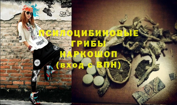 трава Алзамай