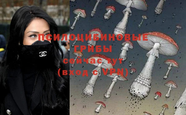 дурь Алексин