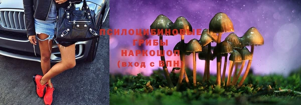 дурь Алексин