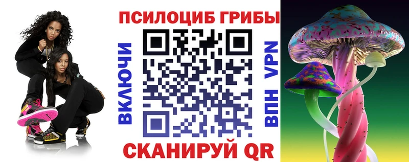 Галлюциногенные грибы Psilocybine cubensis  mega как зайти  Сортавала 